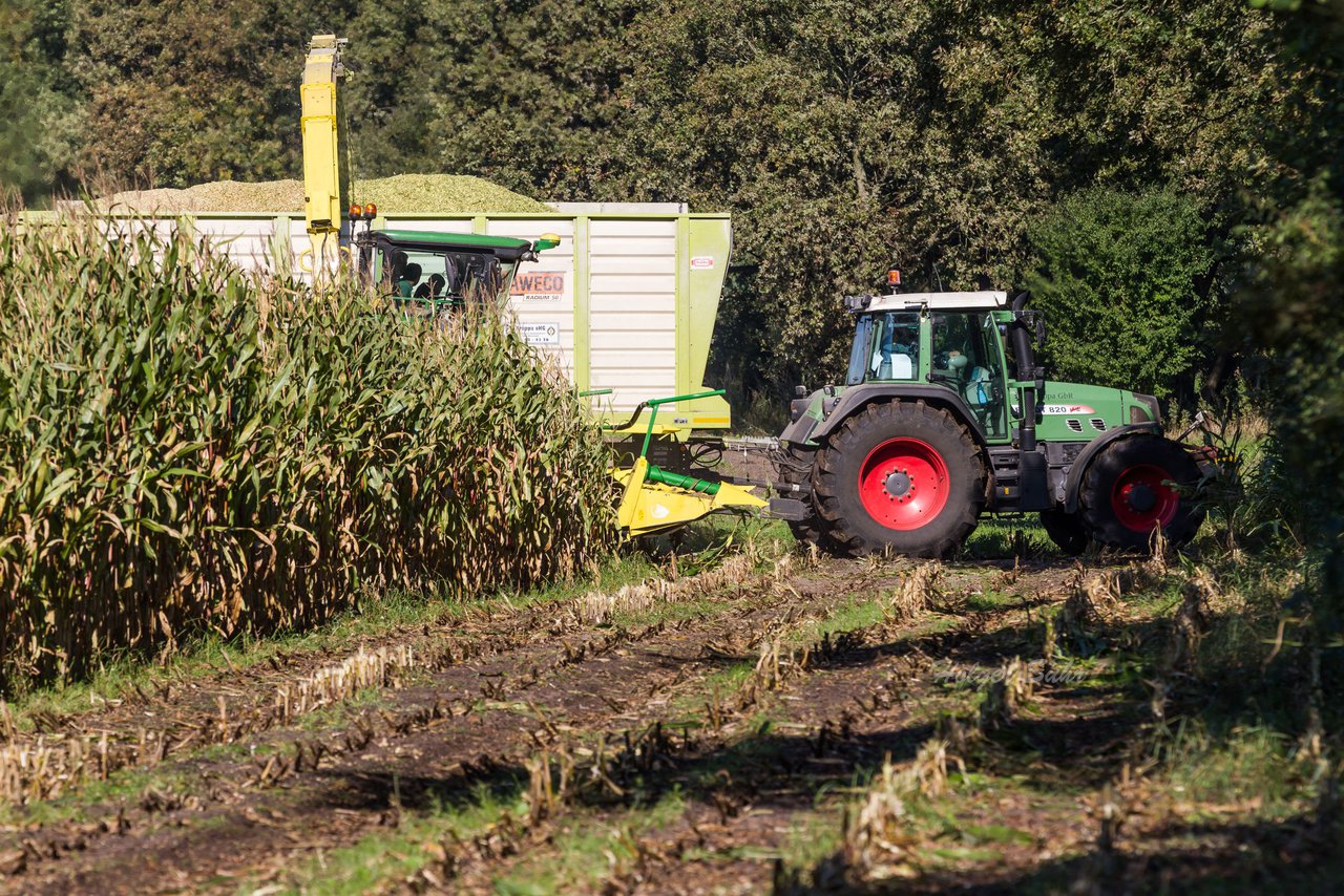 Album: 2013-10-03 Maisernte - 